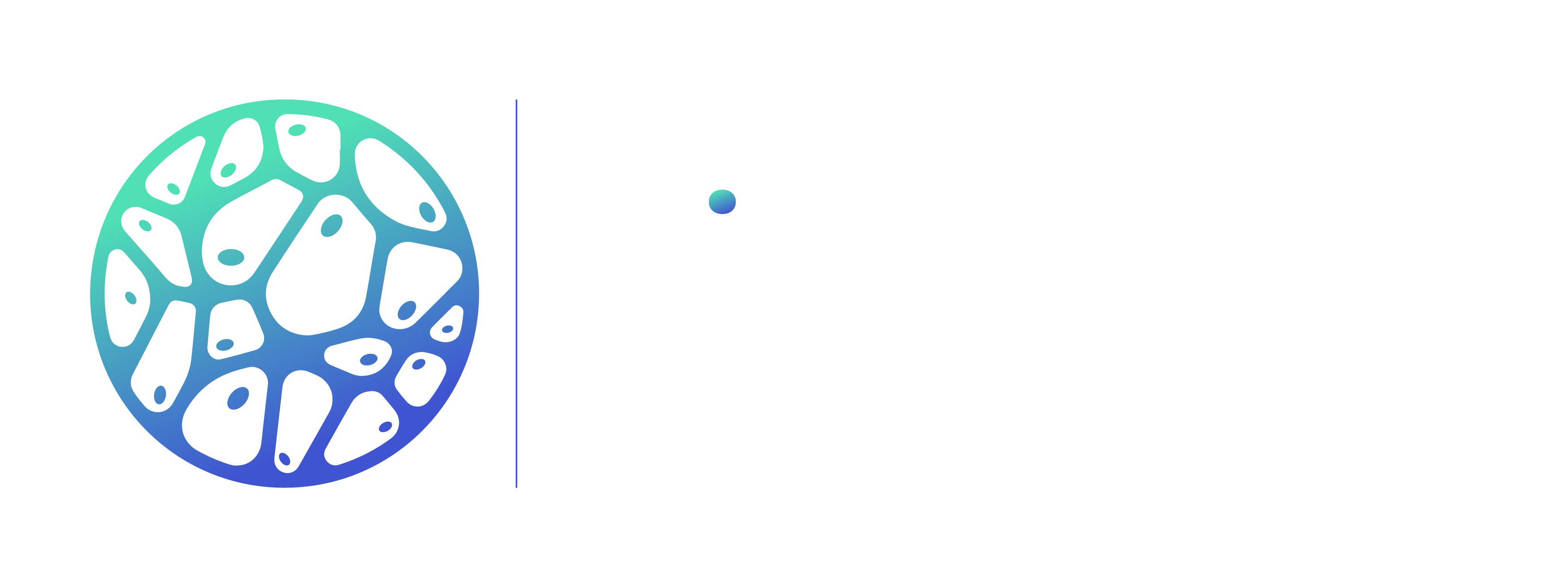 VitaLync