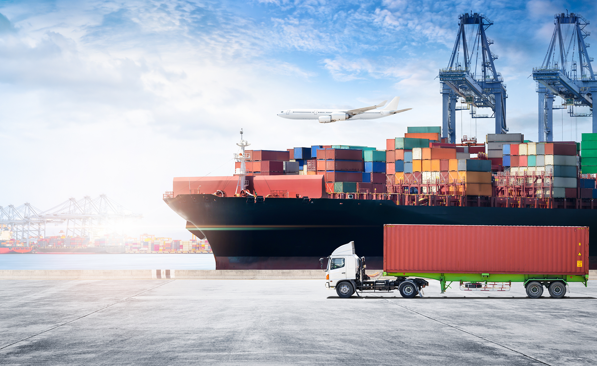From the US to the World: How Tissue Products Travel Across Borders to Save Lives